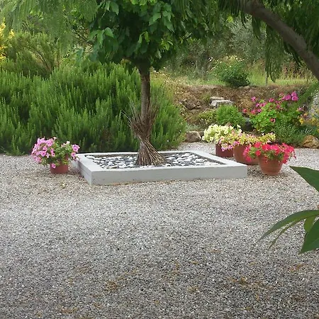 Villa The Olive Branch Asfendiou