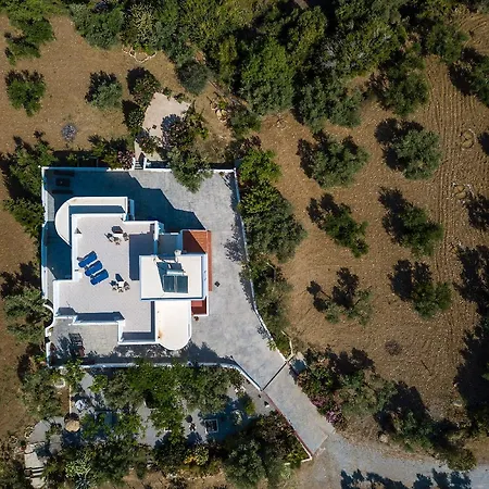 The Olive Branch Villa *