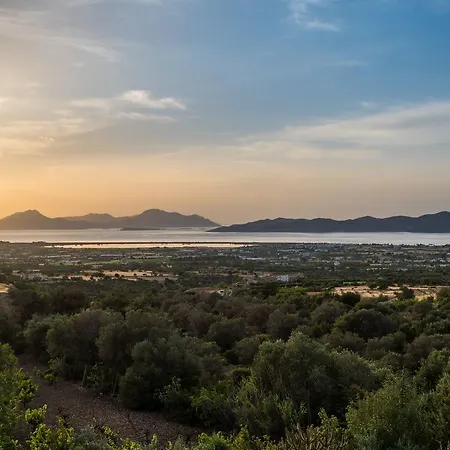 The Olive Branch Villa