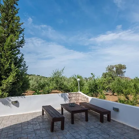 Villa The Olive Branch