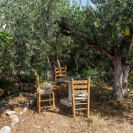 The Olive Branch Villa *